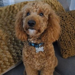 Meet your Posher, Nadia